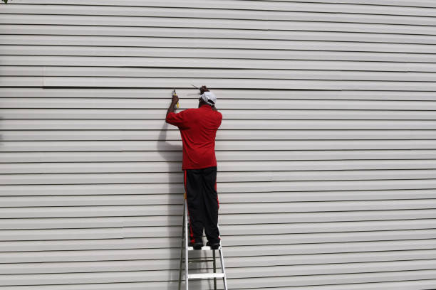 Best Steel Siding Installation  in Sand Point, AK